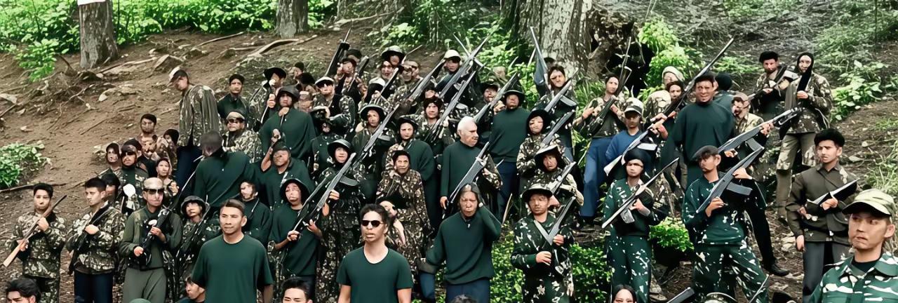 藏南游击队，是时候和缅北民地武一样，捡到一些无人机和武器了！训练要听到121！队
