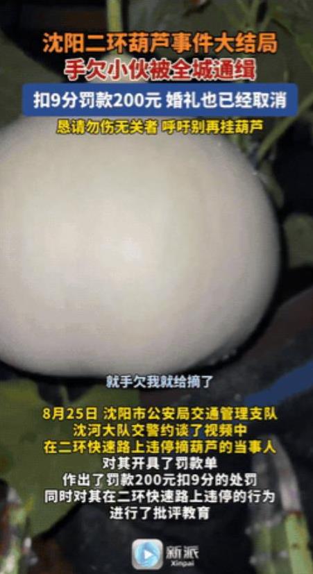 “引发众怒了！”辽宁沈阳，一小伙因为手欠，竟将二环内900万人守护的大葫芦摘走！