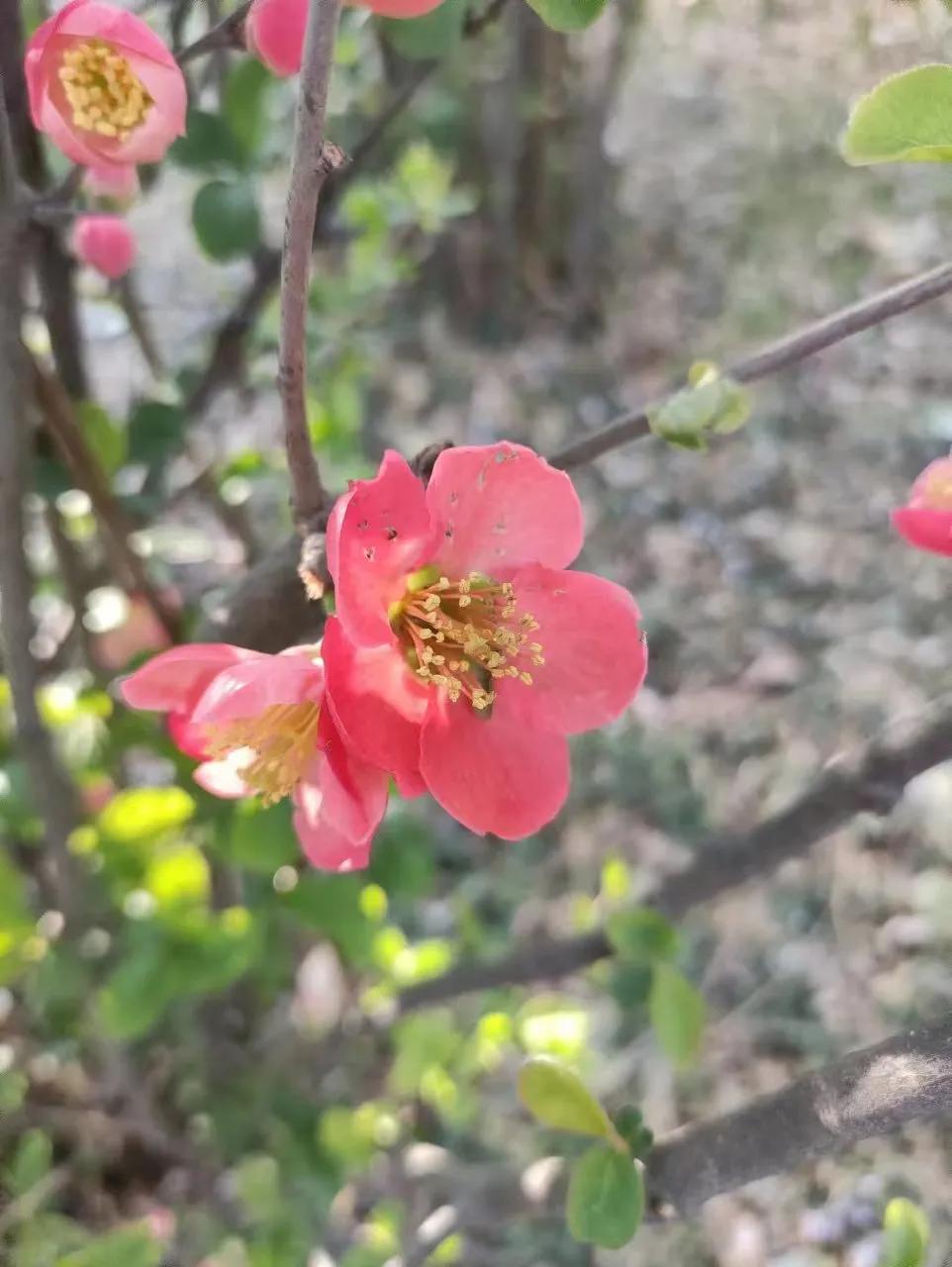 心理专家说：想要一辈子不被情绪拖垮，你就不要强行压抑，也不要肆意放纵，你