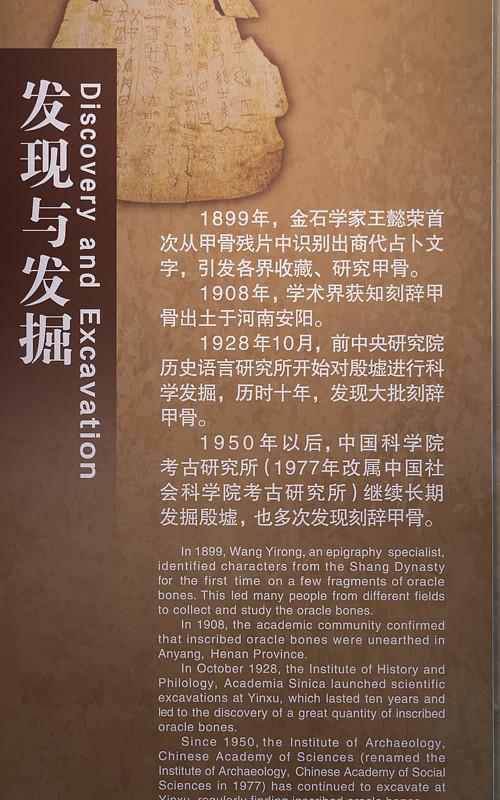世界看中国，中国看河南这句话不是夸大口号，河南是咱们国家的文明根脉、天下粮
