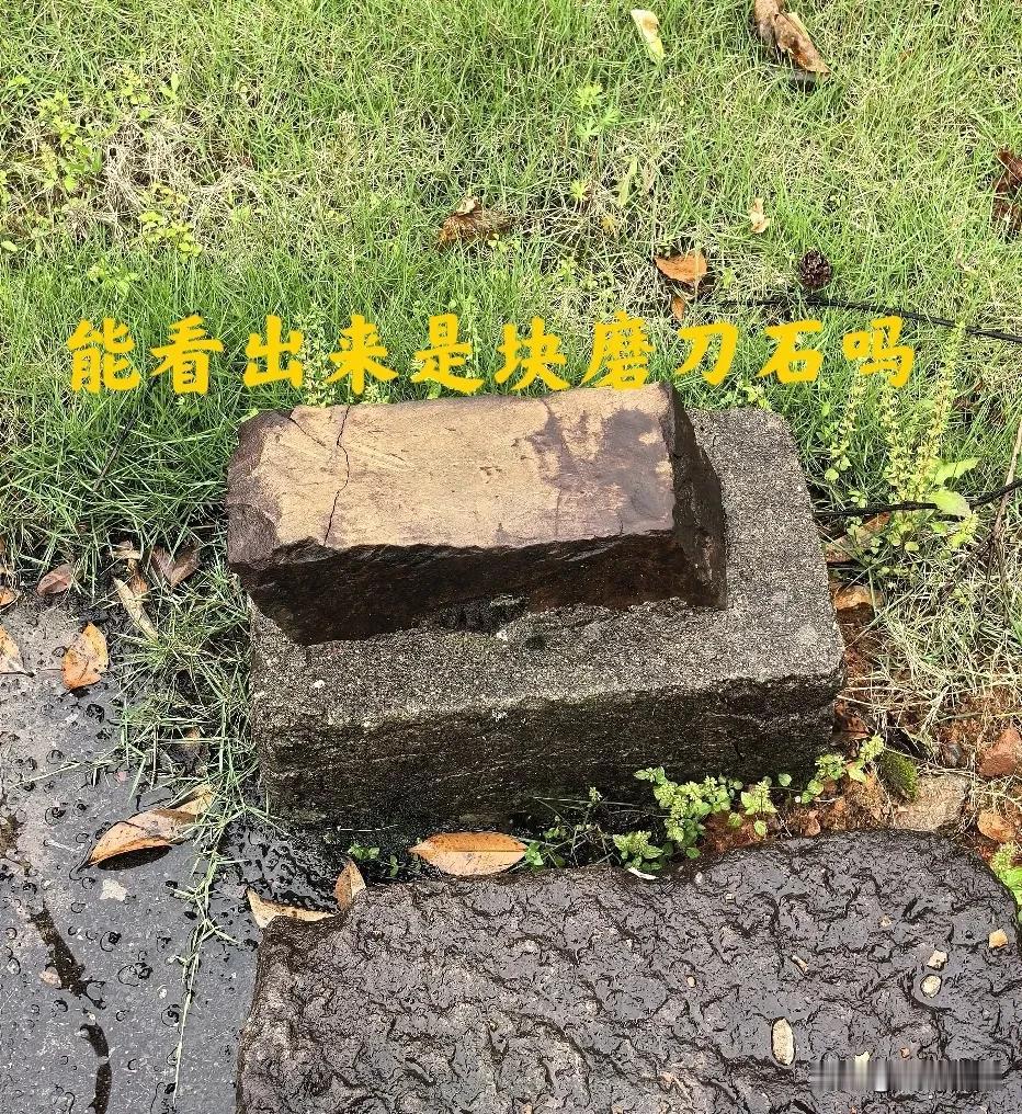 现实不但有这样的人，而且似乎还不少。西汉有个官员叫王吉，当过谏议大夫，相当于监