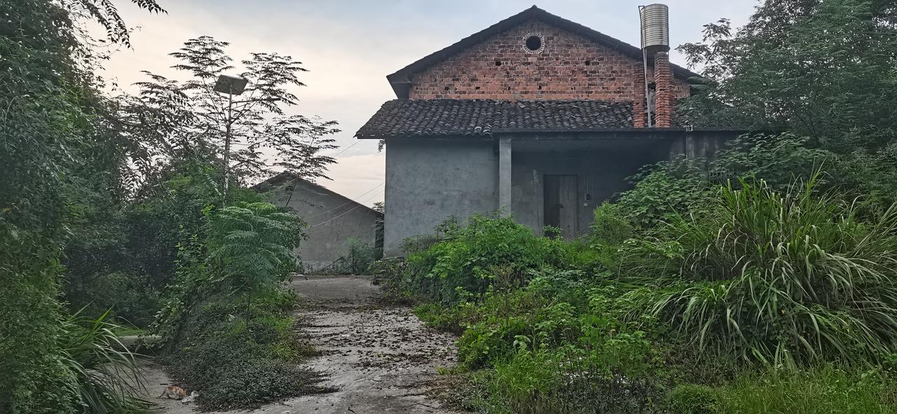 农村老家是否应该新建房子城市的房屋只能算是房子，农村的房子才是家，那里有我们