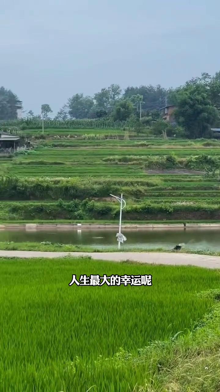 让自己越活越通透的四句话。人到中年，真正能活到最高境界的人，最后都会明白这四句