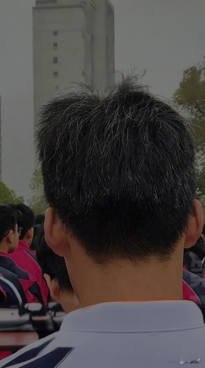 班主任实拍高三学子，满头白发，看哭网友。