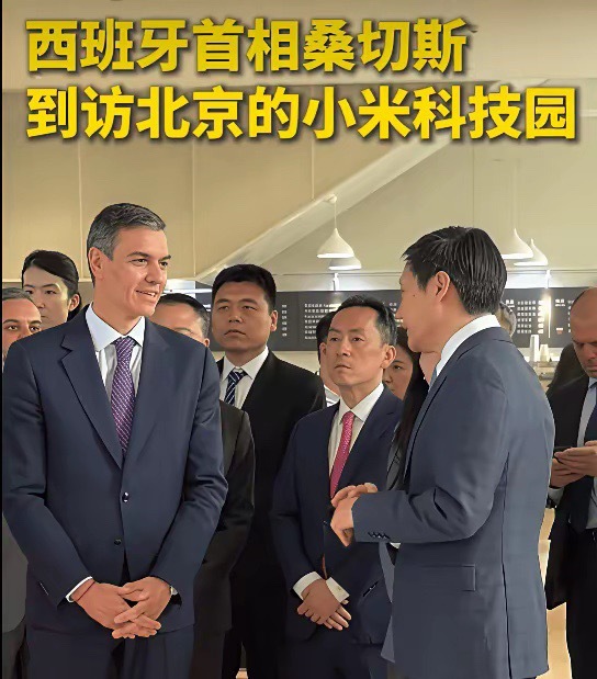 说个有意思的观察：就是小米这家公司挺有意思的，在官方是顶流国际名片，刚接待完郑丽