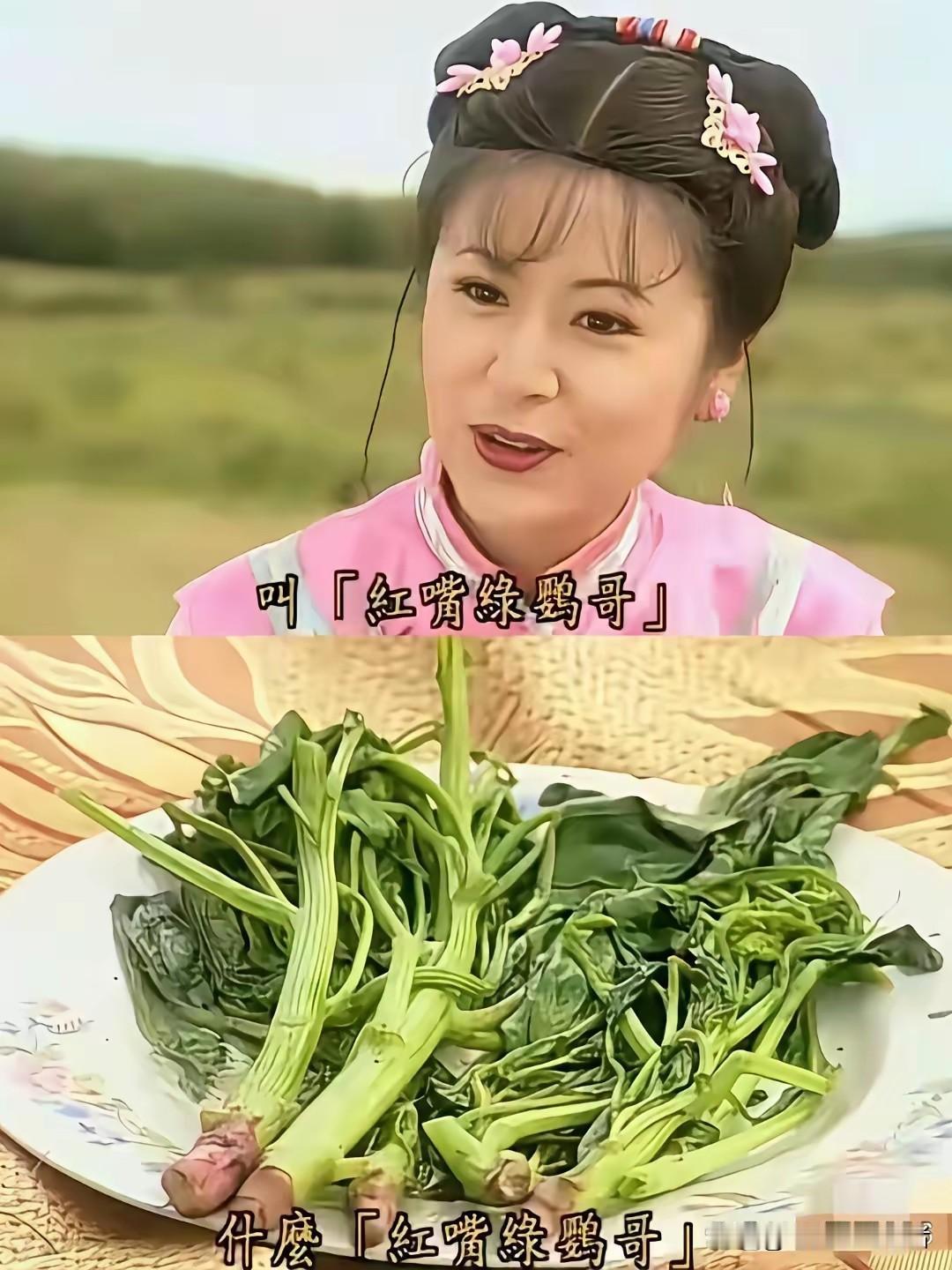 曾经的经典剧有多离谱，红嘴绿莺歌，这玩意看着都没食欲，怎么下的了口，还是小燕子的