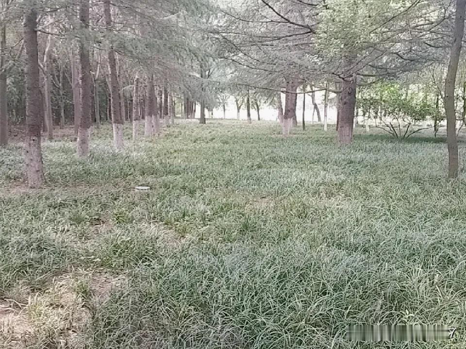 晒图笔记大赛跑步🏃🏻‍♂️跑步🏃🏻‍♂️