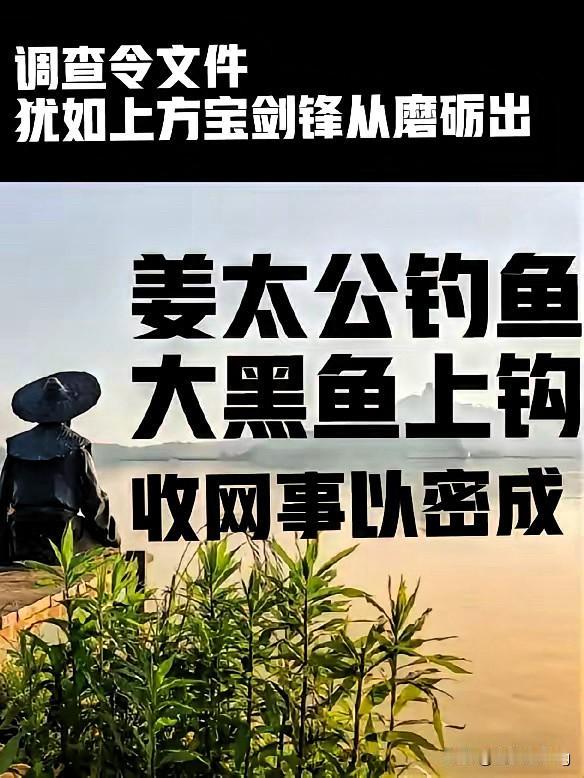 二八调查令到手！这把“尚方宝剑”，终于要劈开五年的迷雾了！许妈追真相的路太苦