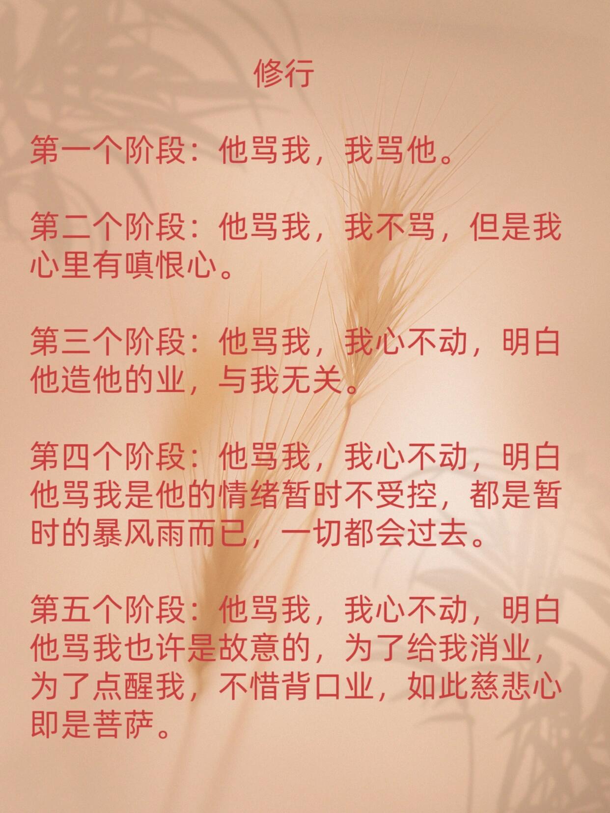 分享修行第一个阶段：他骂我，我骂他。第二个阶段：他骂我，我不骂，但是我心里有