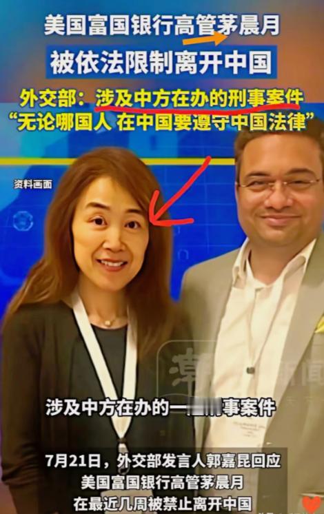 原来茅晨月这条“大鱼”，藏得可真够深的！这女人到底藏了多少猫腻？出生在上海，