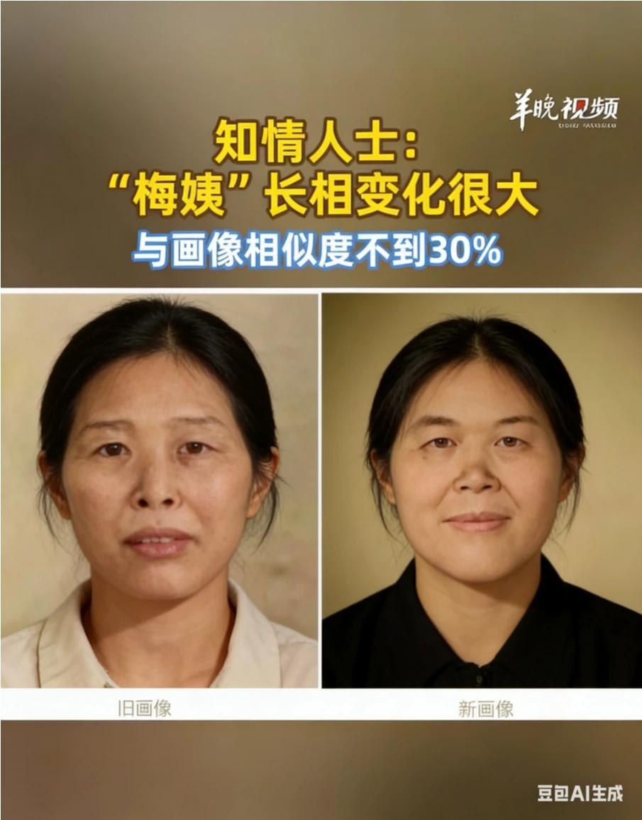 “梅姨”为啥变样了，我的看法：一是，当时给“梅姨”画像，是林警官根据谢某某同居