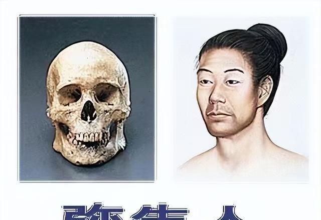 日本祖先真相大白：不是徐福后代，DNA检测结果让日本人无法接受，根据基因研究，日