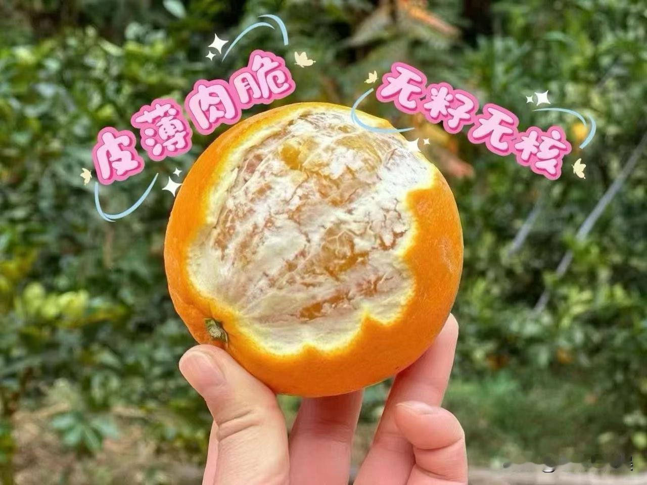 外行人买橙子，看的是哪家价格低；而内行人买橙子，看的是哪家口感与品质好。世界