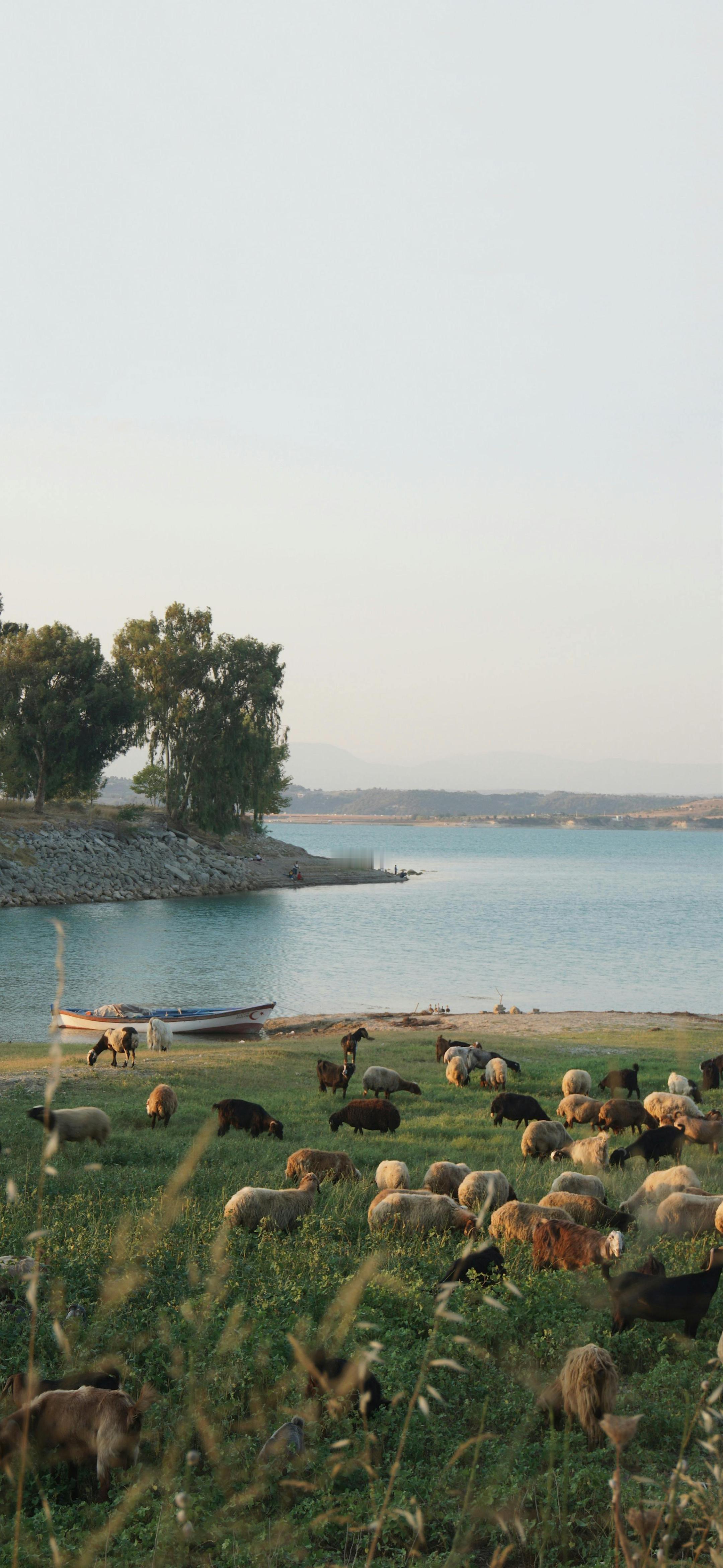 12月的第一天。兄弟们早风景壁纸摄影