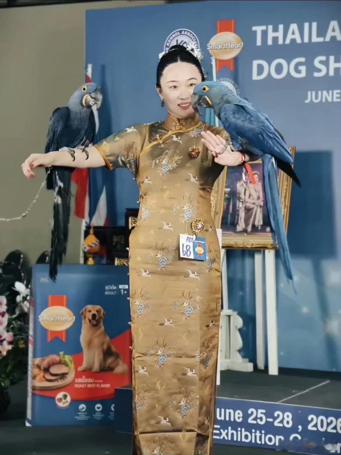 我嘞个御兽宗长老霍思燕上个月家里的狗狗夺冠，现在鸟也夺冠了霍思燕家的鸟又夺冠了霍