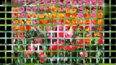 这条路上我们一起走伴奏