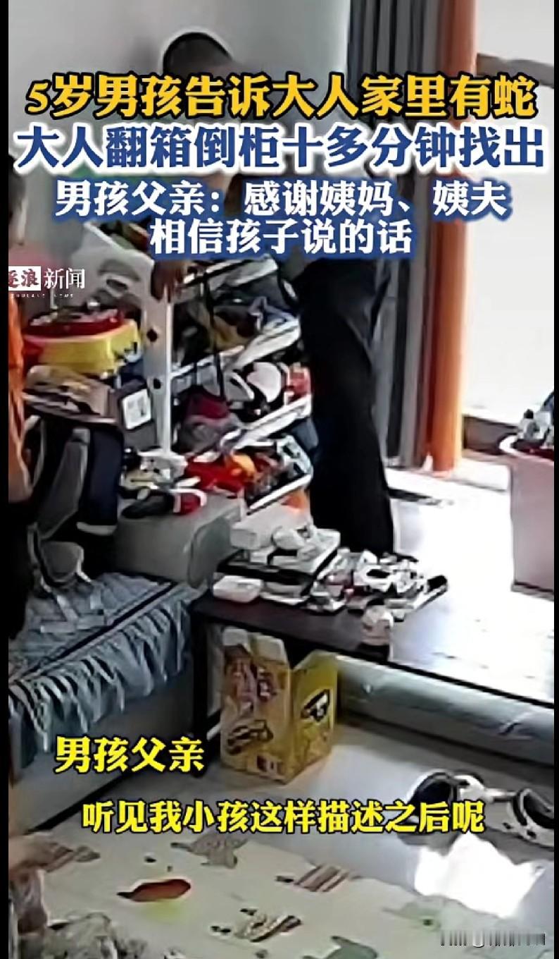 “笑不活了！5岁娃说家里有蛇，大人一开始可能还半信半疑，结果翻箱倒柜十多分钟真给