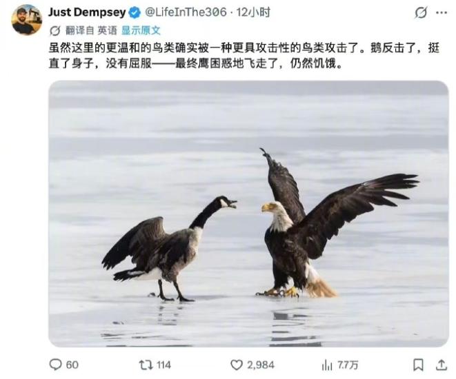 真离谱！两个国家居然在互联网用AI图片开始互喷了。这跟两个无赖有啥区别？白