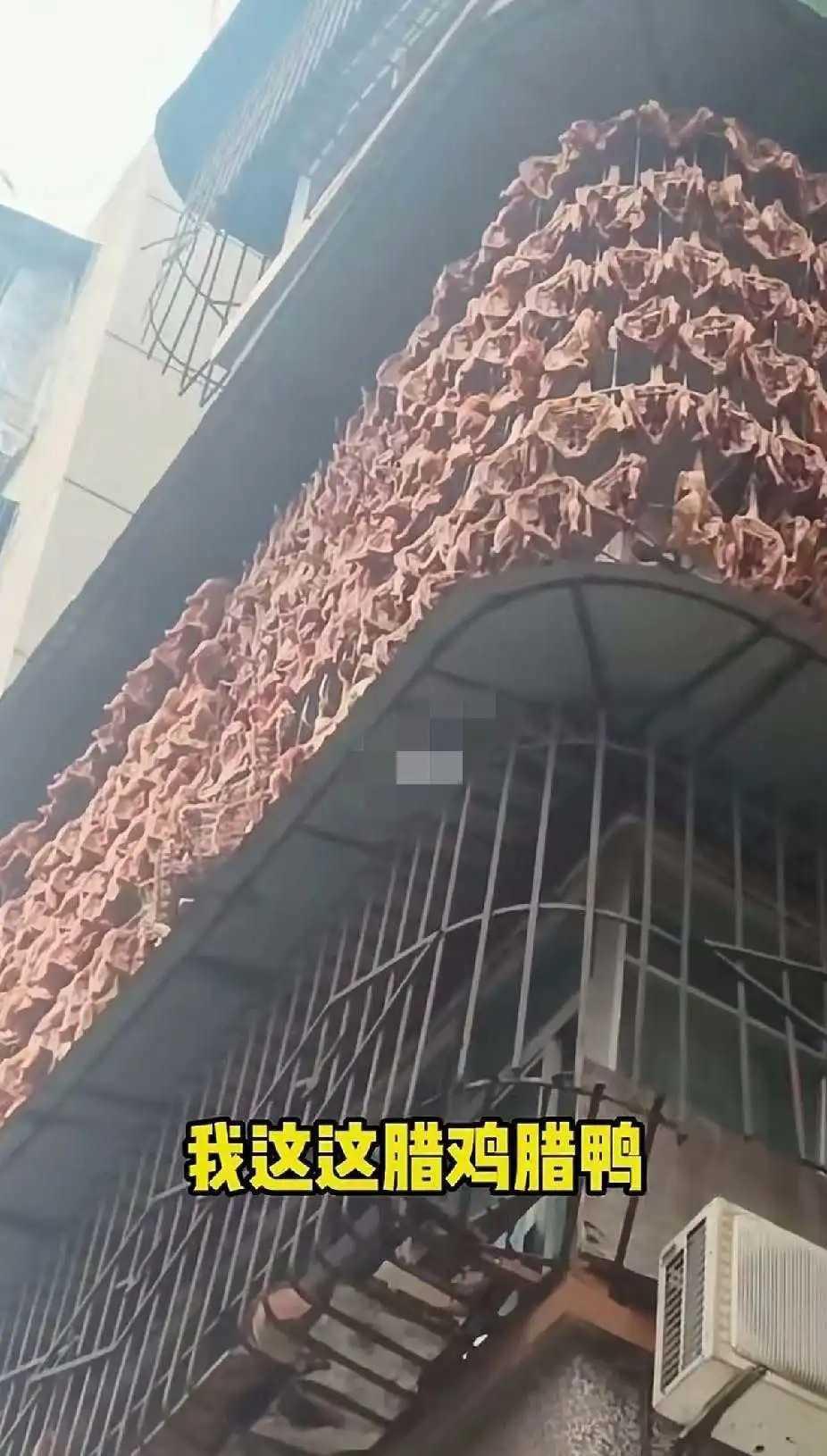 这绝对算得上中国好邻居了！