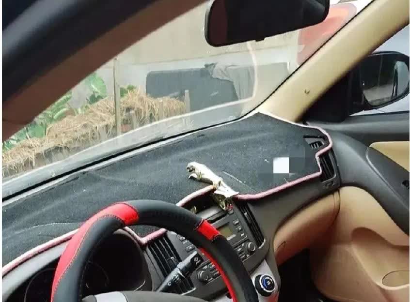吓懵了！我这新手司机，脑袋里全是问号！都知道手动挡刹车失灵能靠挡位减速，可正常行