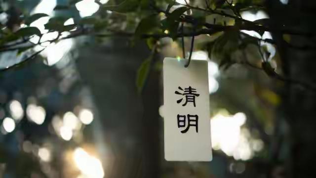 清明扫墓别做“哑巴祭”，4句心里话念给先人，心安福至子孙顺清明祭扫，是刻在