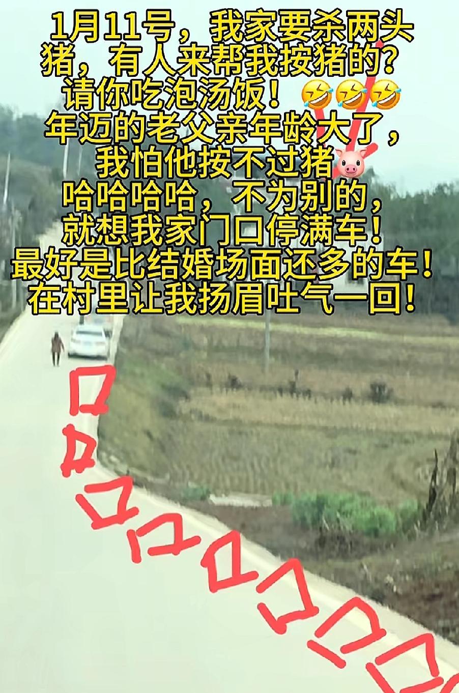 呆呆为何会邀请网友来按年猪，是父亲真的按不住猪了吗，还是找不到其他人按猪