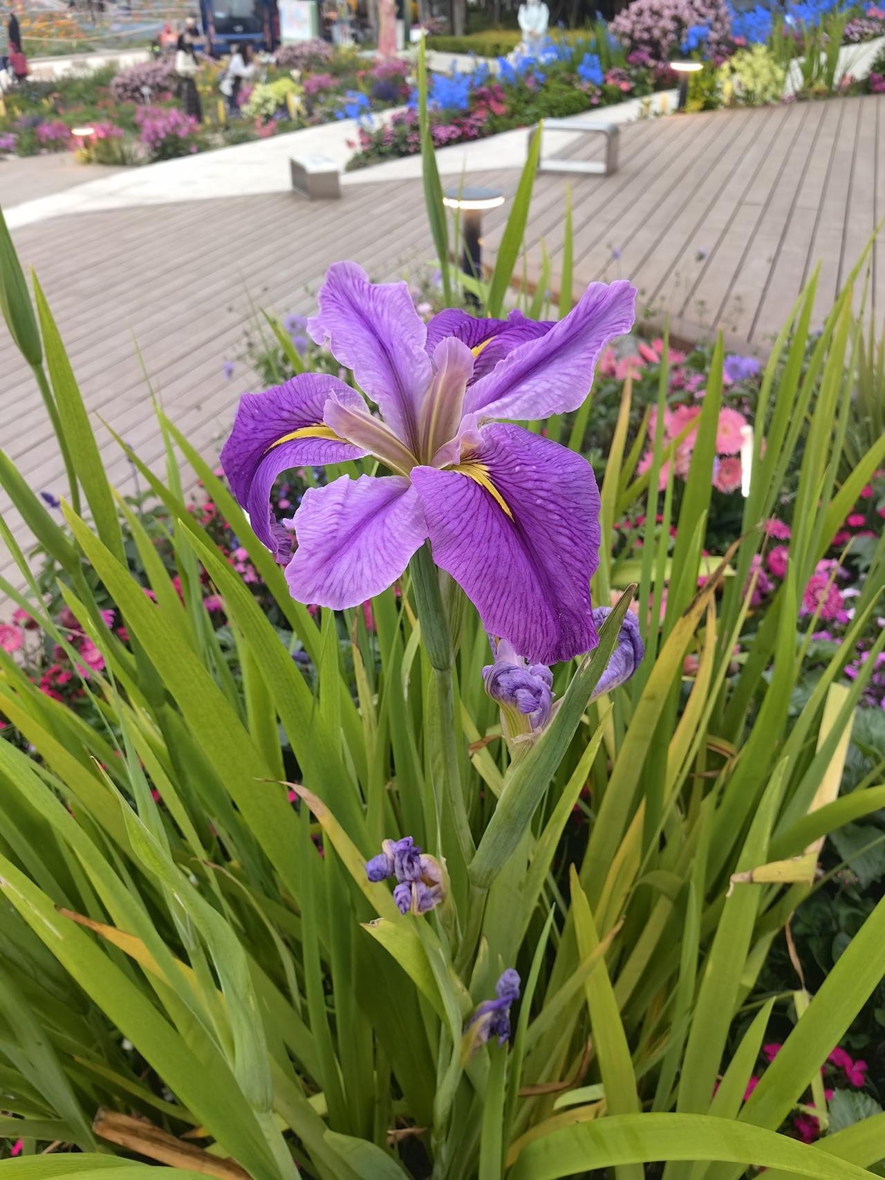 强烈要求北交所集中发行新股北交所这新股发行模式真让人无语！现在一次就