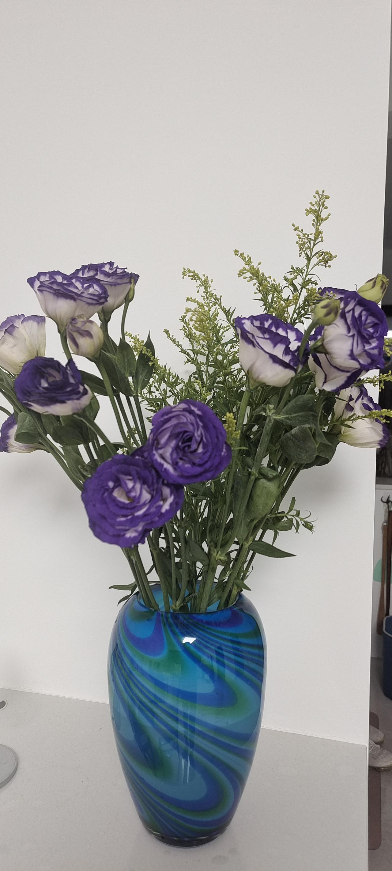 人类战争真相曝光！外星人监视下的地球竟是宇宙“斗兽场”？