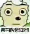 b溃了……猫踩到自己的史，卡在了自己的脚趾缝里抱它的时候看到它脚粘着猫砂……再仔