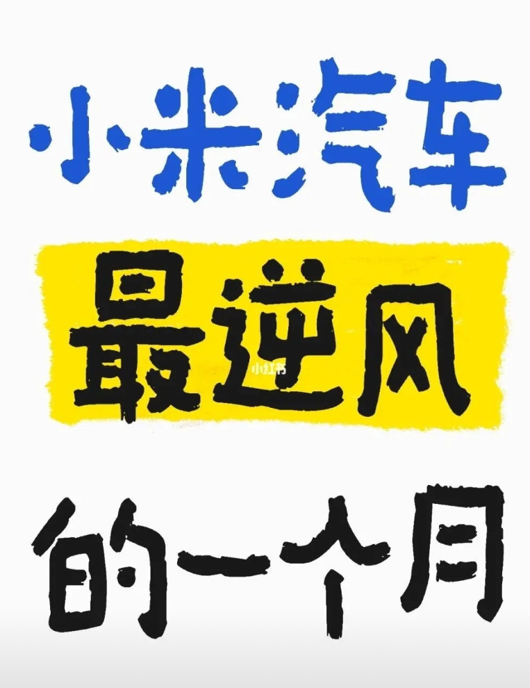 北京小米车主来说说4月都发生了什么主观影响从大到小：1、警方与小米方对安徽事