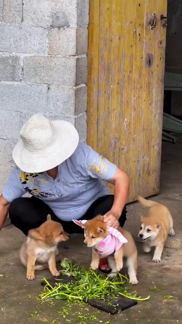 有人。
