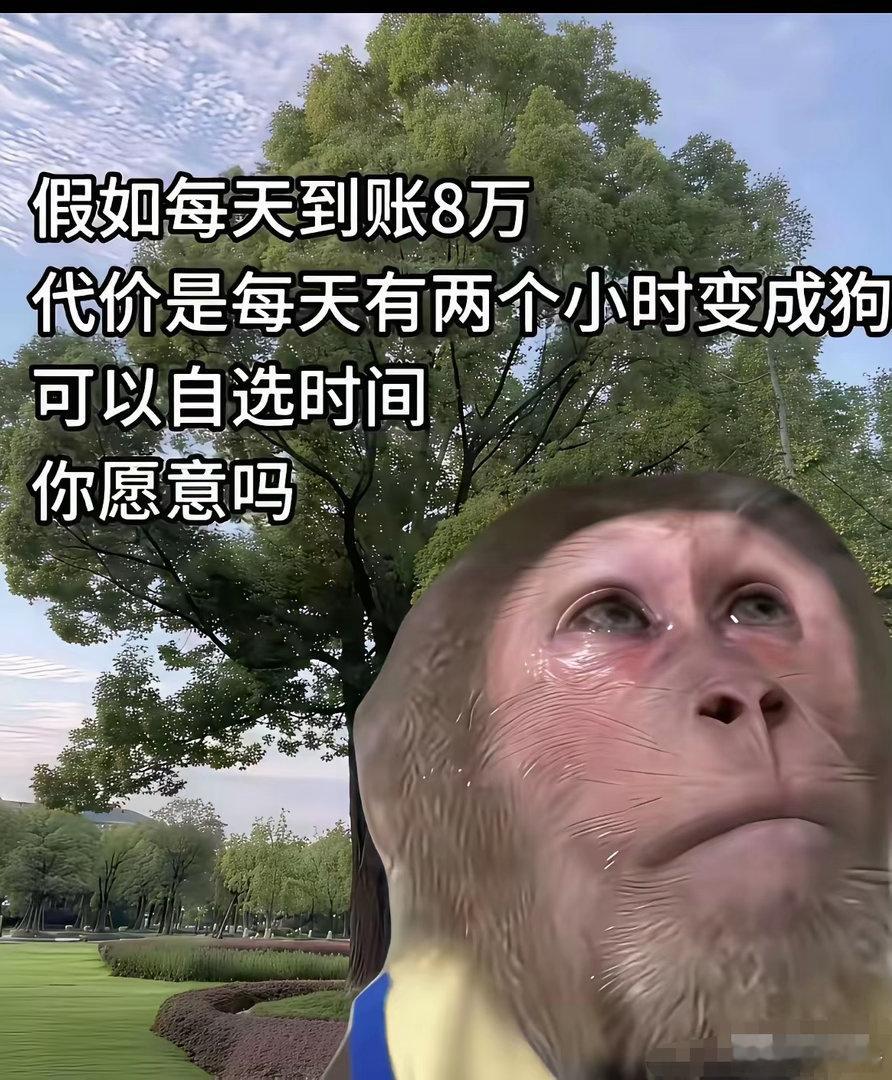愿意吗？