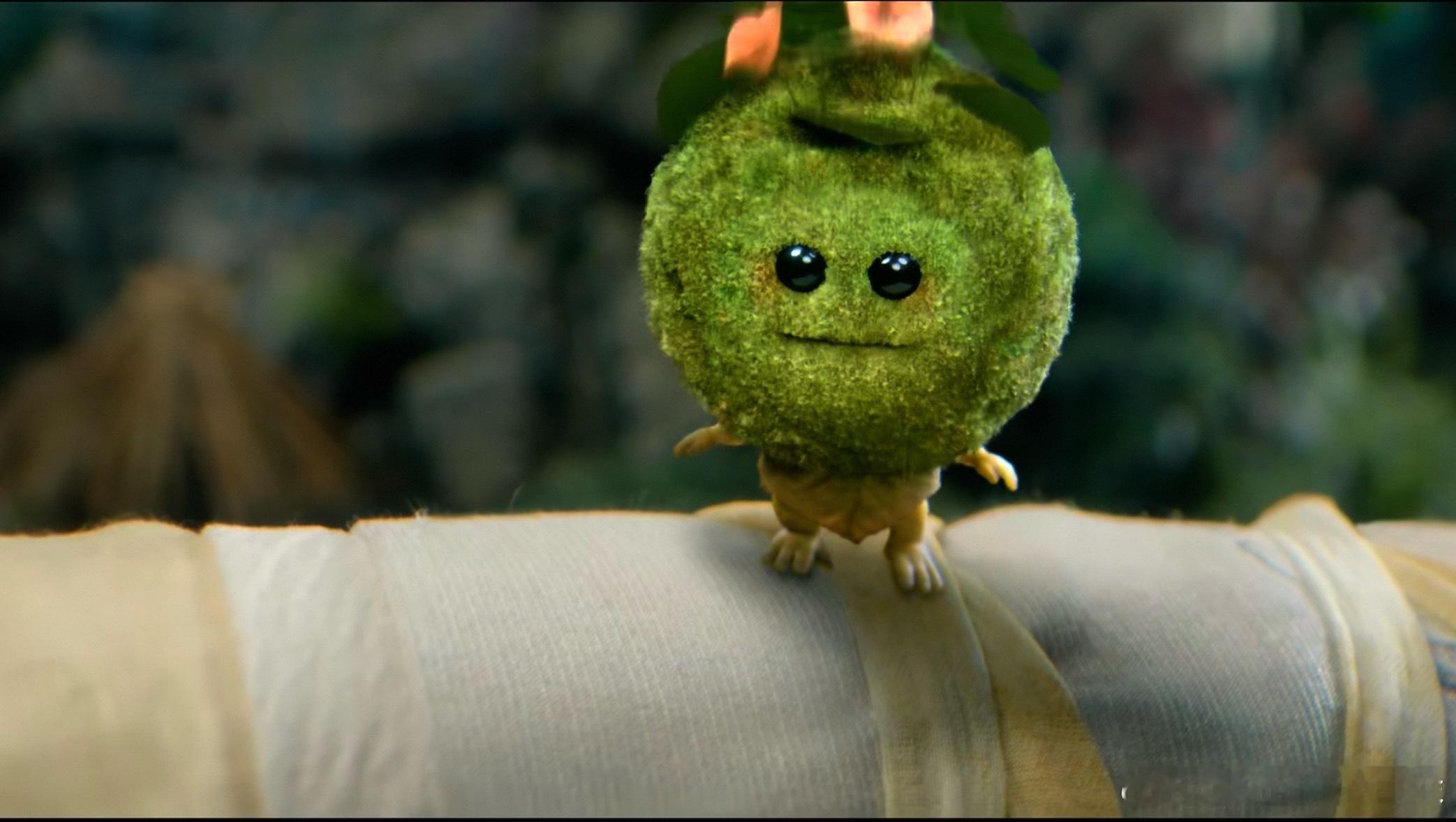 这些小精灵太可爱了