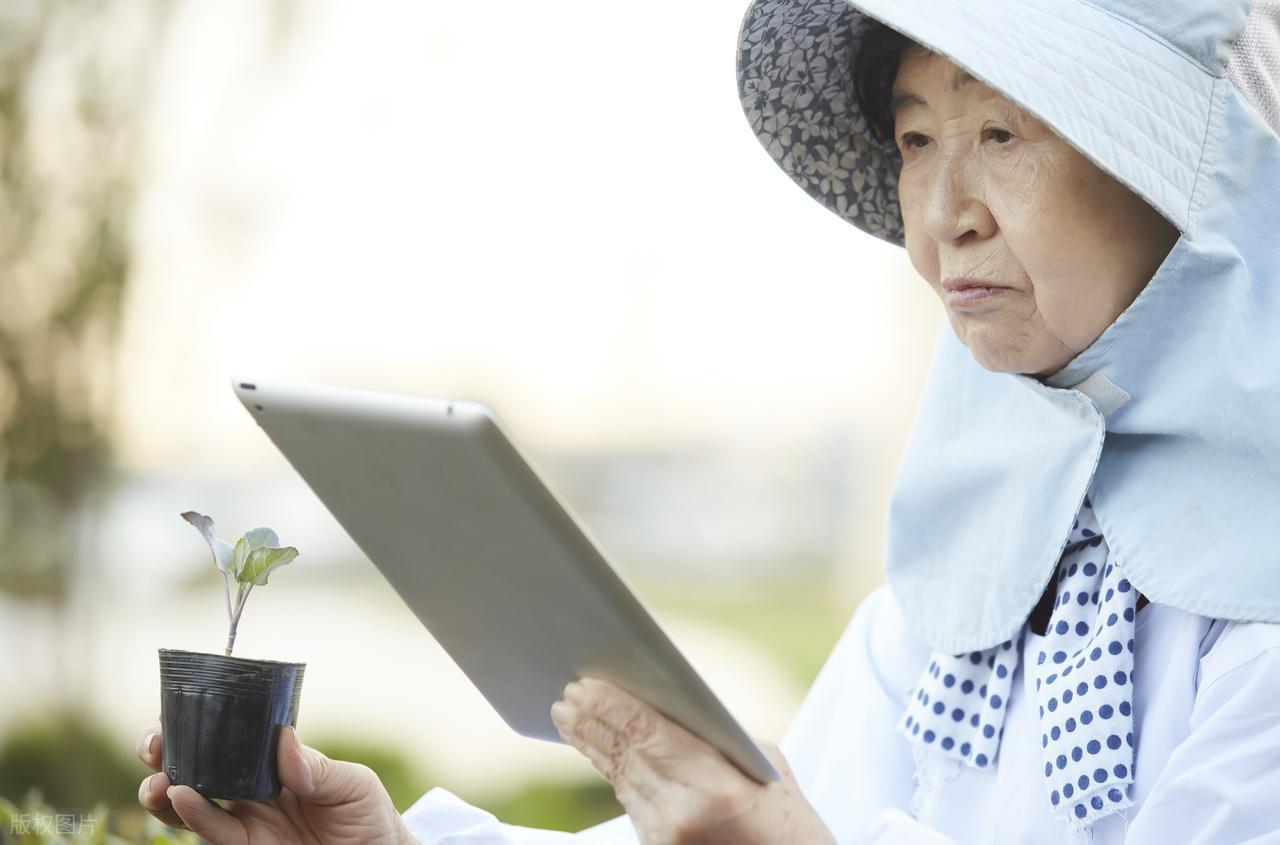 我一个同事的妈妈，在丈夫去世3个月后就找了新老伴儿。我同事和她哥哥都接受不了，但