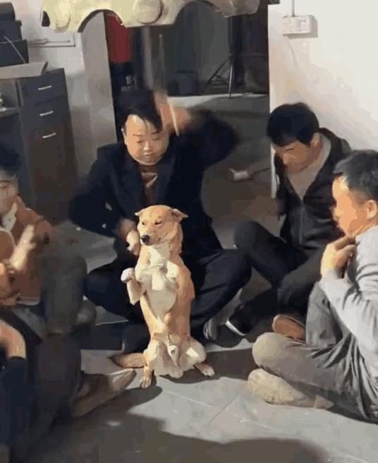 此时狗子已觉得天下无敌