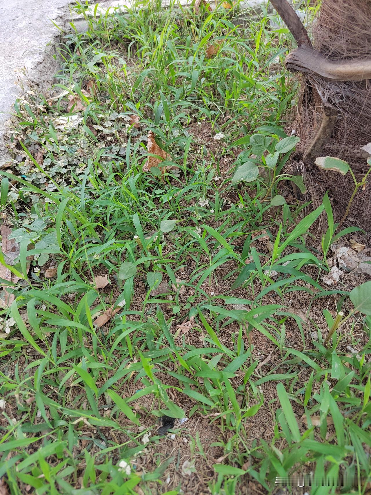 退休了，我把所有的朋友都过没了！以前上班的时候，我曾经说过一句话，等我退休了，