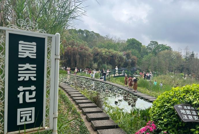 南宁青秀山简直美得犯规！眼前这片莫奈花园，让我恨不得直接赖着不走。相册都快被撑爆