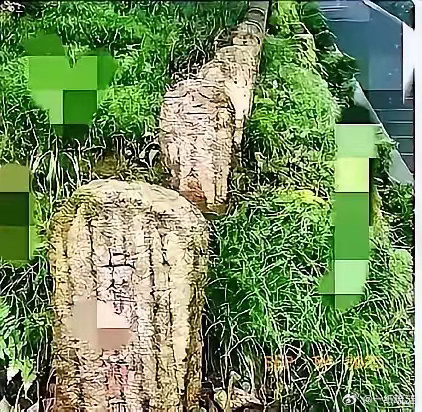 这下好了，腾冲又一次把日本拒绝了。这次是日方想用3.5亿修高速，换回日军将领藏重