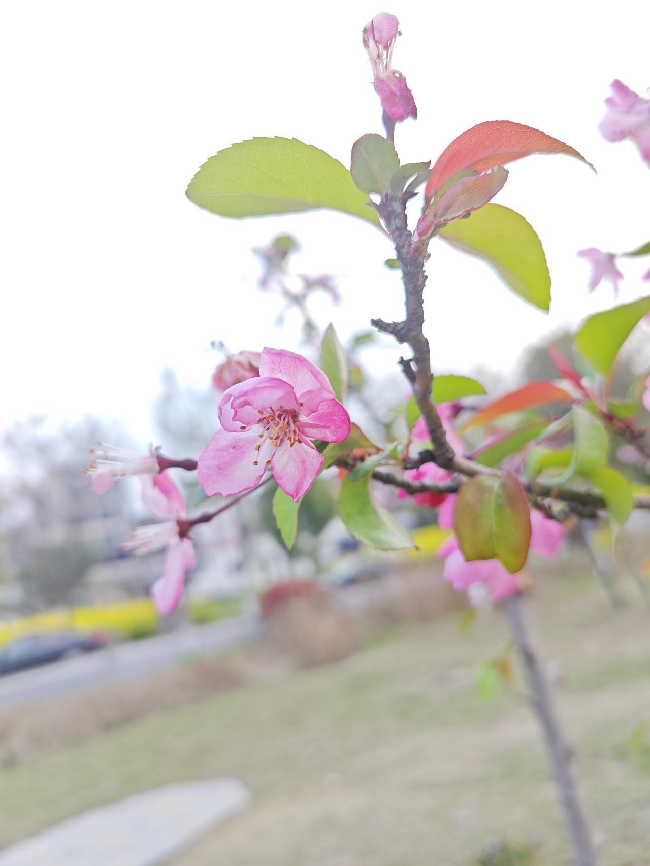 养生最大的骗局，是拿命换钱再拿钱买觉——可惜，觉是买不回来的。失眠不是病，耗起来