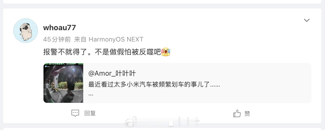 我不明白，人小米车主车子被恶意攻击，这帮人急啥？​​​