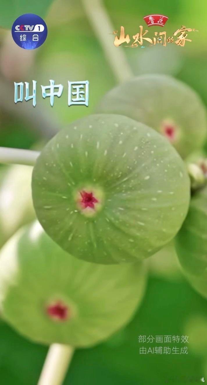 有一种美学叫中国圆中国圆究竟有多美中秋的中国圆藏着乡愁：天上圆月悬，手中月饼甜