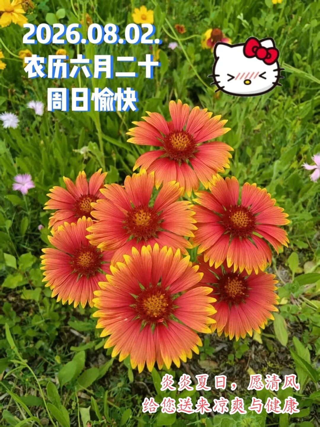 【健康养生】1）吃饭时习惯性把头埋向碗边，脖子前伸、背部弓起。这个姿势会让颈椎