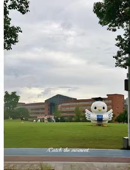 顶不住了！宁波大学留学生专属招聘会一事，迫于舆论压力，事情发酵后校方给出的解