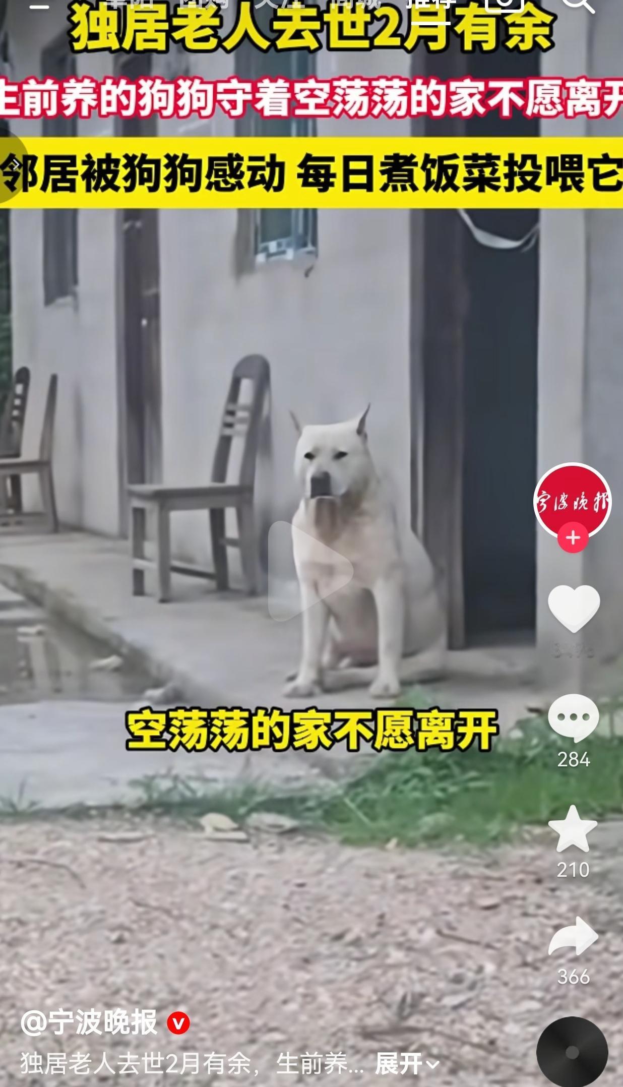 主人走了两个月，这只狗守着空屋不肯走，邻居的做法看哭全网贵州石阡，一间空荡