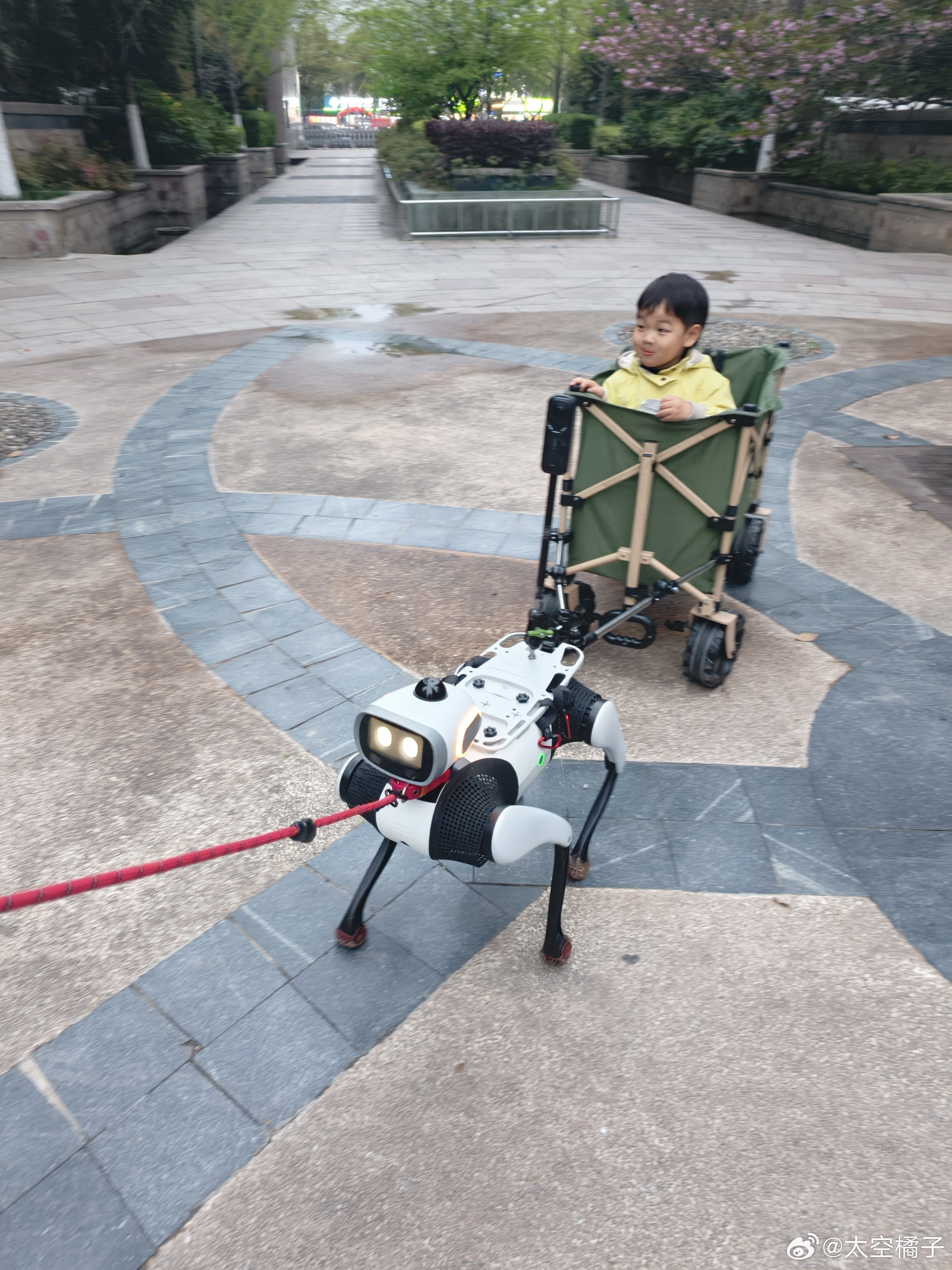 Vbot正式变成电子骆驼居然能拖挂40KG…这可是全尺寸露营车+3岁小朋友以后让