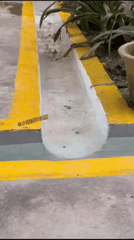 你跟领导一起干一件坏事，效果好过你跟领导干十件好事…