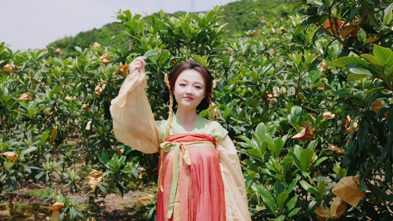 🌿象山新桥的枇杷有多绝？金黄挂满枝头，海风阳光滋养出的鲜甜，果肉嫩到一咬就爆汁