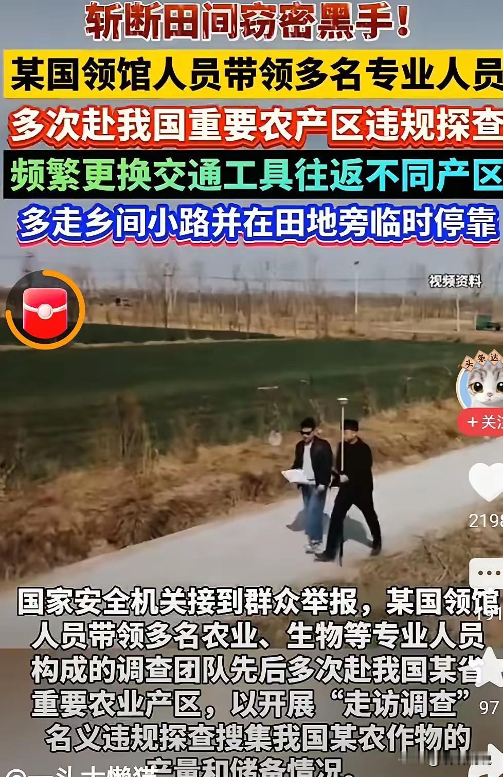 敢打中国粮食的主意？这是动我们14亿人的根，绝对不能忍！粮食安