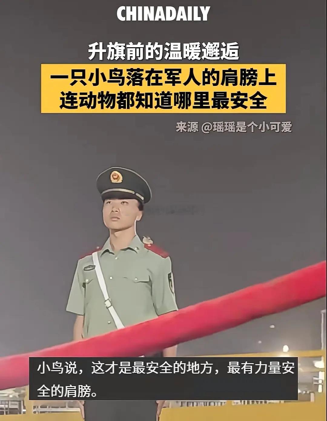 小鸟说，这才是最安全的地方，最有力量安全的肩膀[抱抱][抱抱]​​​