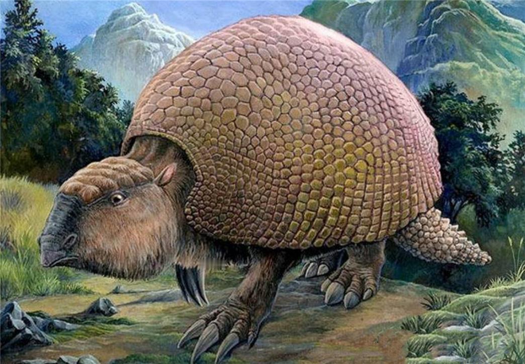 进化到越极致，往往灭绝得更快，地球上曾经演化出过真正的重甲巨兽。雕齿兽是一种已